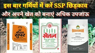 सिंगल सुपर फास्फेट // SSP fertilizer // SSP के फायदे