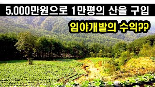 임야투자는 적은 돈으로 큰 평수의 산을 사야 한다