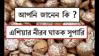 এশিয়ার নীরব ঘাতক সুপারি Health Tips Bangla