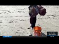 coastal cleanup day volunteers scour s.f. ocean beach for litter