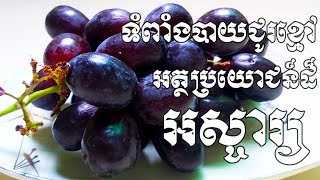 ទំពាំងបាយជូរខ្មៅផ្តល់គុណប្រយោជន៏ដ៏អស្ចារ្យទាំង៧យ៉ាង - Health Inform