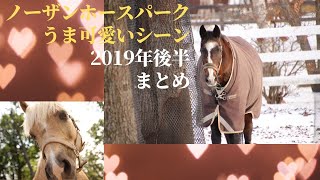 2019年のノーザンホースパーク下半期【うまかわいいシーン集】ウインドインハーヘアなどが登場