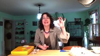 Testing an Egg's Strength
