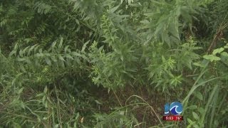 Man recovering from rattlesnake bite