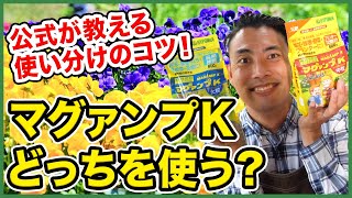 【園芸の基本】公式が教える！マグァンプK徹底解説〜中粒と大粒どっちを使う？〜【園芸塾】【ハイポネックス】