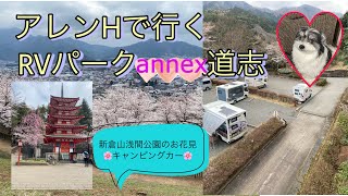 【キャンピングカー車中泊】お花見　RVパークannex 道志　新倉山浅間公園お花見　吉田うどん　キャンピングカー　モカとセカンドライフ　犬連れ旅行