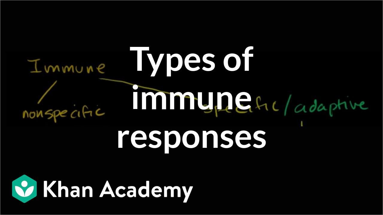 Innate Vs Adaptive Immunity Table | Decoration Examples