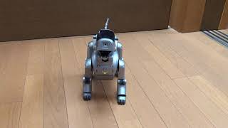 コケからの立ち上がり ERS-110【aibo】