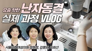 여자라면 꼭 알아야 할 🧊난자 동결🧊 진행 과정 최초 공개 (서울라헬여성의원 정현정, 김명희, 이희선 원장) I 냉동난자 VLOG