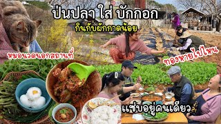 EP.636 ป่นปลาใส่บักกอก กินกับผักกาดน้อย  🤩วิวร้อยล้าน ทองหายไปไหน กับหมอนวดนอกสถานที่