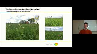 Webinar Natuurinclusieve landbouw  Kruidenrijk grasland deel 3  Anne Jansma