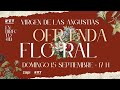 🔴 Ofrenda Floral Virgen de las Angustias 2024 | PTV Granada HD