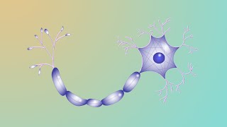 DNALC Short: The Amazing Neuron and its Electrifying Action Potentials!, Part II