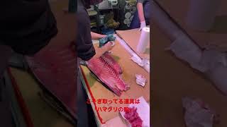 宮崎産天然生キハダマグロの中おちをひたすら取る動画。#柳橋中央市場 #shorts #名古屋 大伸