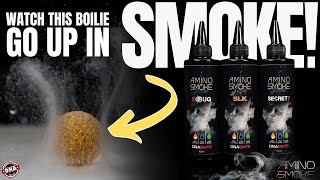 🤯 WATCH THIS BOILIE GO UP IN SMOKE! 💨 DNA BAITS | AMINO SMOKE | CARP FISHING | THE BUG | S7 | SLK