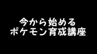 【ORAS】ポケモン育成解説