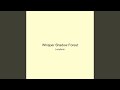 Whisper Shadow Forest