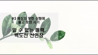 [오늘부터 식물을 키웁니다] 알 수 없는 매력, 백도선 선인장