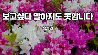 [시낭송]보고싶다 말하지도 못합니다- 심성연(낭송-풀잎이슬)