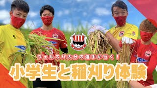 【ホームタウン活動】小学生と稲刈り体験