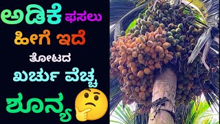 ಶೂನ್ಯ ಬಂಡವಾಳ ಅಡಿಕೆ ಕೃಷಿ ಪದ್ಧತಿ 🌴 different type of  arecanut agriculture🍒