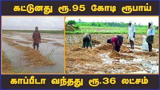 பயிர் பாதிப்புக்கு இதுவா இழப்பீடு? தஞ்சை விவசாயிகள் கொந்தளிப்பு