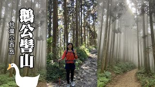 台灣小百岳~鵝公髻山 (新竹縣五峰鄉), 從山上人家起登!!!