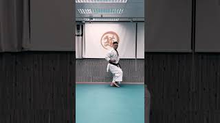 karate lover.... learn Papurean kata tutorial ... part 1.. man budokan karate academy