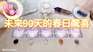 🧡塔羅占卜| 新月+春分：未來九十天宇宙送來的春日驚喜