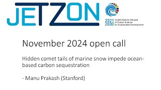 JETZON Nov 2024 Hidden comet tails of marine snow impede ocean-based carbon sequestration - Prakash