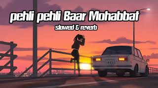 Pehli Pehli Baar Mohabbat Ki Hai (slowed+reverb) Lofi Song || Old Song || 90's Song || Kumar Sanu