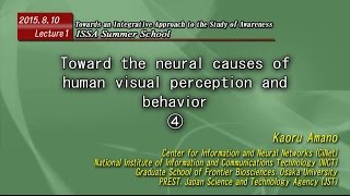 20150810 Lecture1 Toward the neural cause of visual perception ④