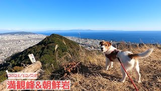 【犬連れ登山】生後11ヶ月のジャックラッセルテリアと焼津アルプス　満観峰・朝鮮岩 / hike with dog in Japan Jack Russell Terrier