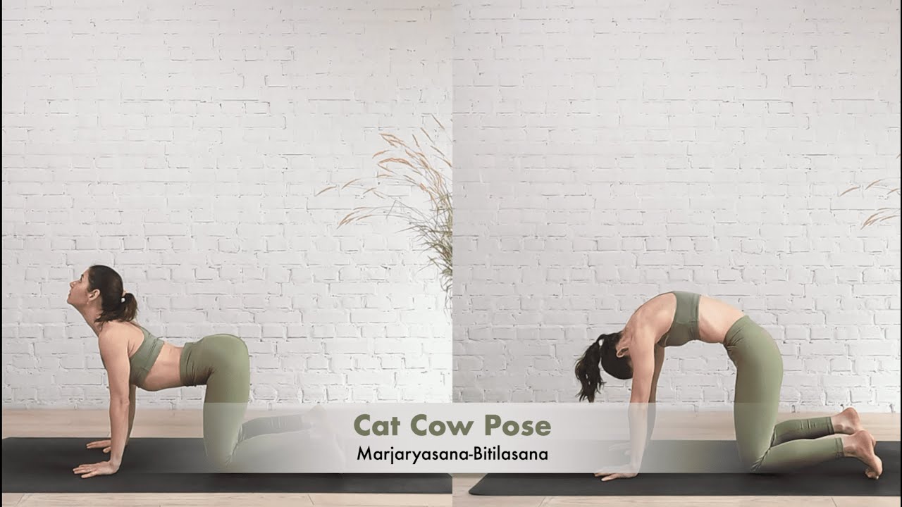 How To Do Cat Cow Pose (Marjaryasana-Bitilasana) - YouTube