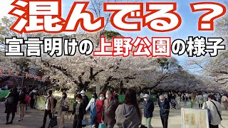 混んでる？緊急事態宣言明けの上野公園の様子。アメ横にあるマニアックお寺を巡る。　Walk in Ueno.  Visit a maniac temple in Ueno.