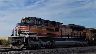 UP 1996 SP Heritage Leads Union Pacific Intermodal