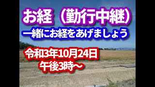 お経（勤行）ライブ配信　ご一緒にお経をあげましょう（※肆誓偈《重誓偈》から、往生礼讃を中心として）。お経の後は、少しの法話と終活相談もいたします。