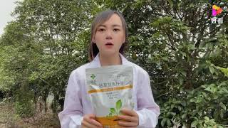 枯草芽孢杆菌那么多，我们该如何选择