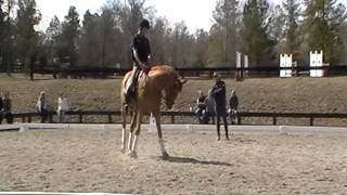 Training Sessions, Aiken, Spring 2011, Boyd Martin v1.0