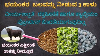 ಭಯಾನಕ ಬಲವನ್ನು ನೀಡುವ 3 ಕಾಳುಗಳು🔥🔥🔥 3 Legumes That Give Terrible Strength