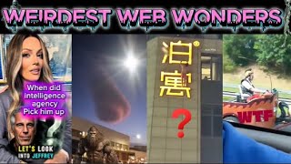 weirdest web wonders vol 8