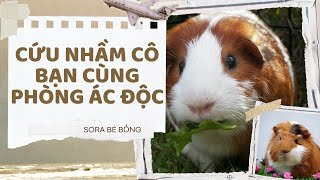 [Truyện Audio ] [FULL] CỨU NHẦM CÔ BẠN CUNG PHÒNG ÁC ĐỘC || Sora Bé Bỏng