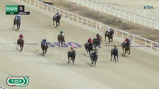 (Busan) 2025.01.05 R5 Class 4 (1600M) Handicap / Jockey Masa Tanaka's 200th winner in Korea