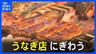 土用の丑の日 ウナギ店賑わう 「ウナギパワー」で酷暑乗り切る｜TBS NEWS DIG