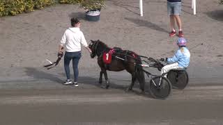 Ponnytrav Solänget 190831 Lopp 3