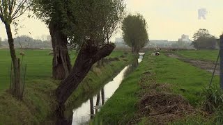 Problemen als gevolg van A4 groter dan gedacht