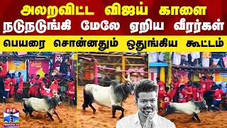 அலறவிட்ட விஜய் காளை.. நடுநடுங்கி மேலே ஏறிய வீரர்கள்.. பெயரை சொன்னதும் ஒதுங்கிய கூட்டம்