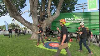 New Zealand Speed Tree Climbing Pairs Championship