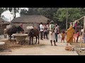 People Living Below Poverty Line In Terai Region Of Nepal || Nepali Village Daily Morning Routine