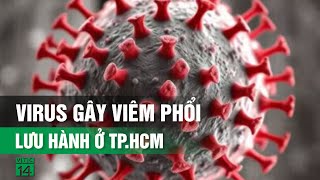 Virus gây viêm phổi HMPV đã lưu hành ở TP.HCM| VTC14